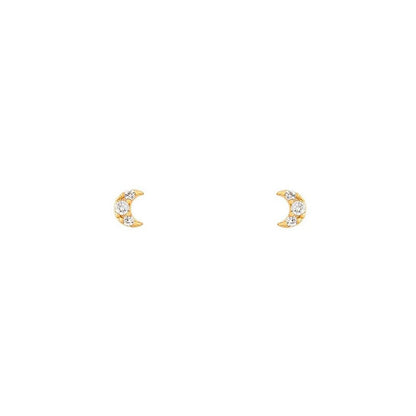 STARLIGHT EARRING COLLECTION 316L